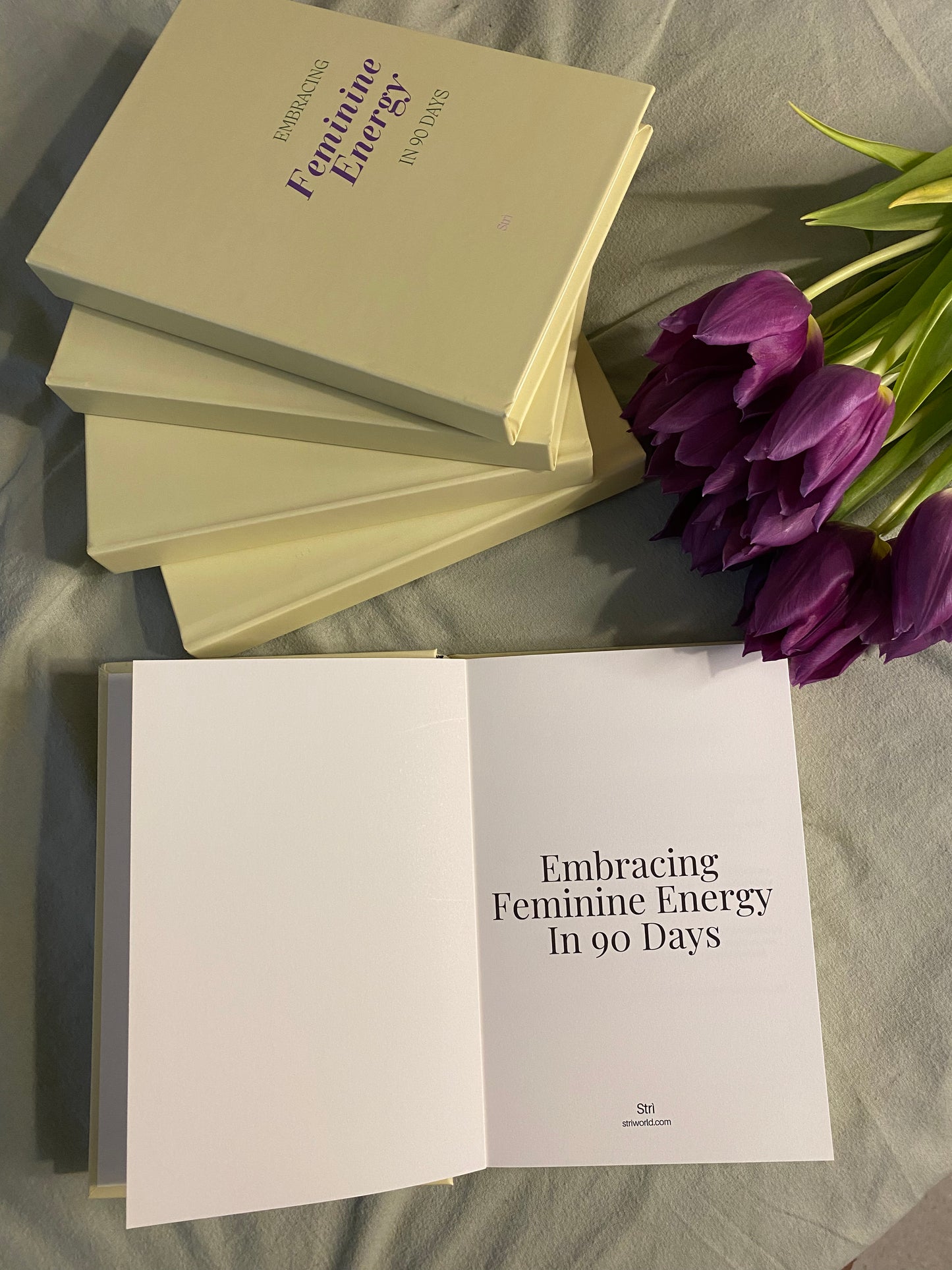 Embracing Feminine Energy in 90 Days Journal